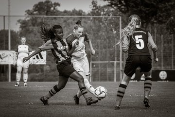 Bild 2302 - B-Juniorinnen SVHU - Weststeinburg : Ergebnis: 15:0